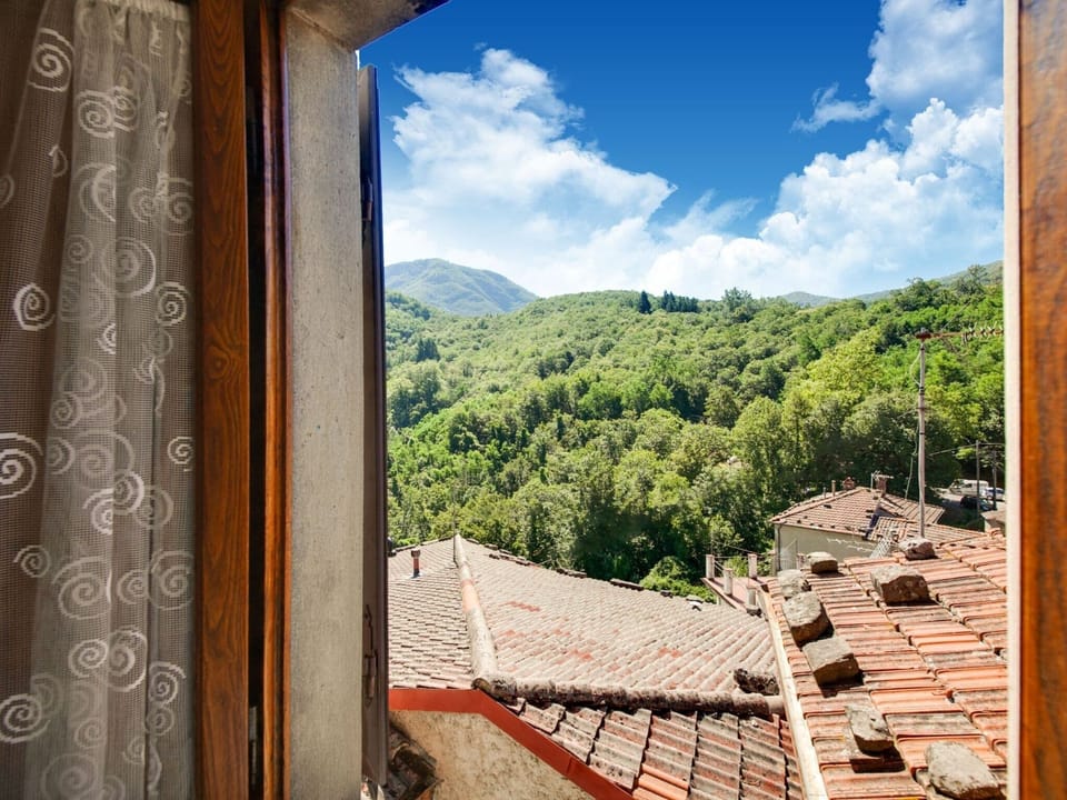 View from Holiday Home [summer]