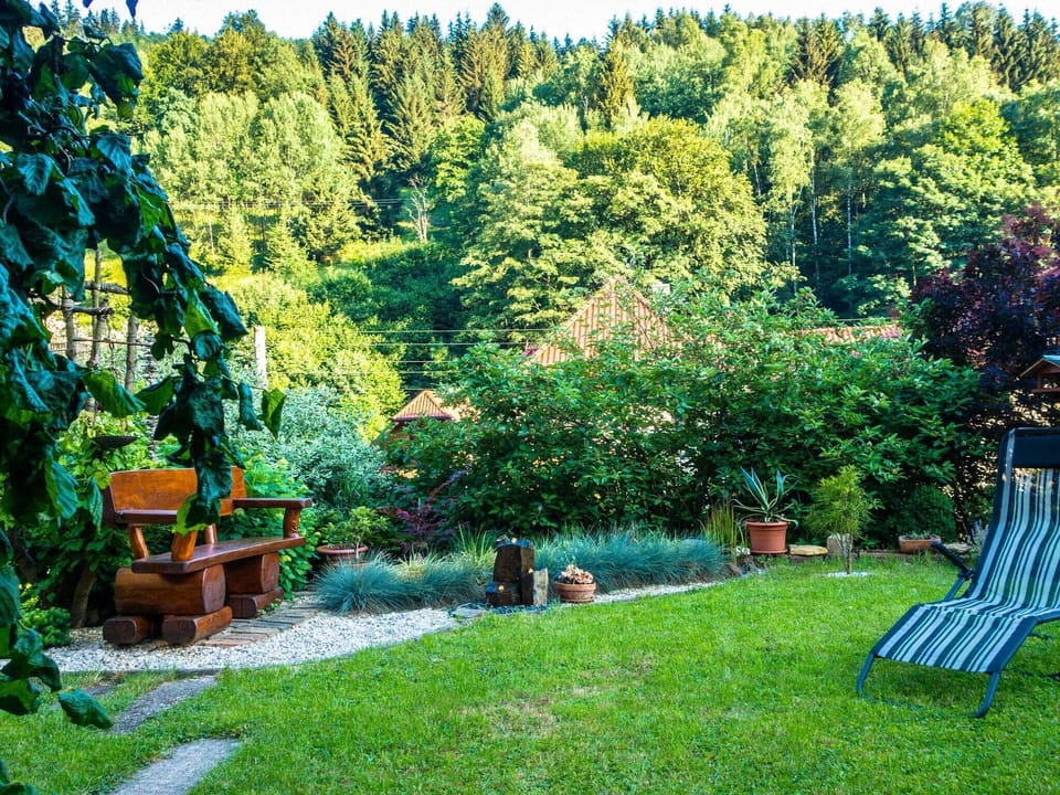 Garden [summer]