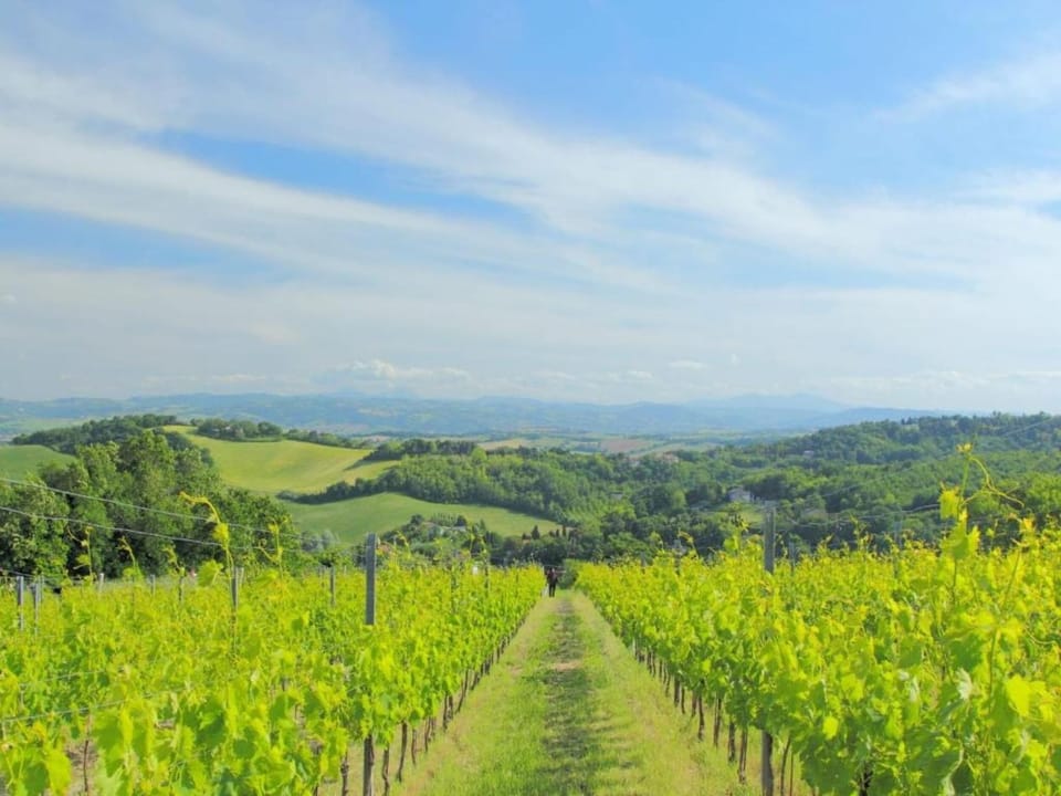 Surroundings [summer] (1-5 km)