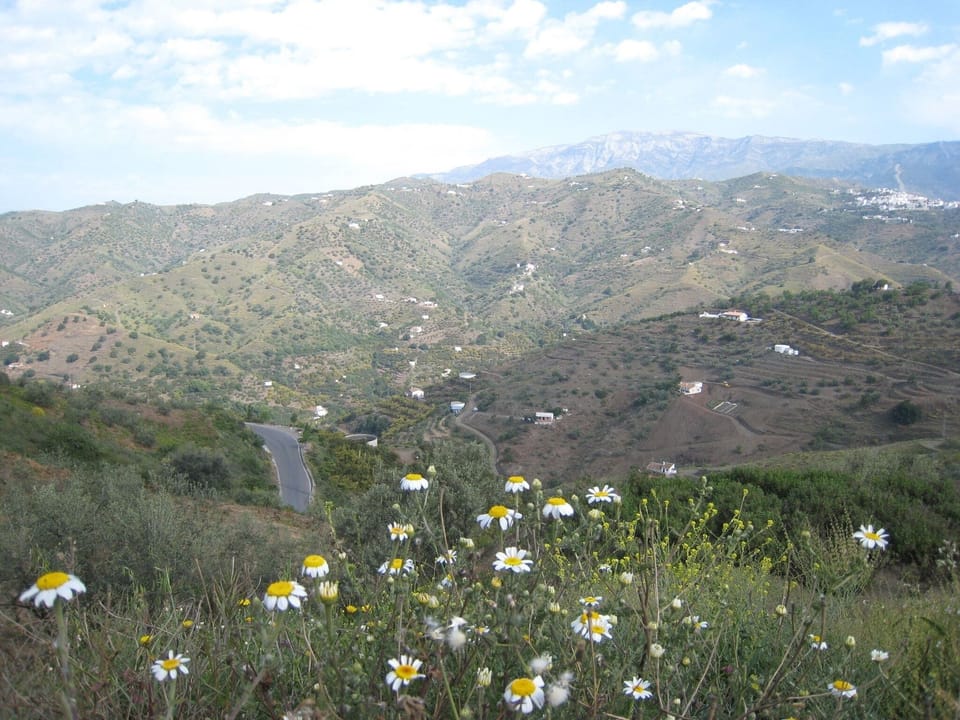 Immediate Surroundings [summer] (<1 km)