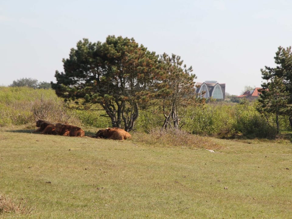 Surroundings [summer] (1-5 km)