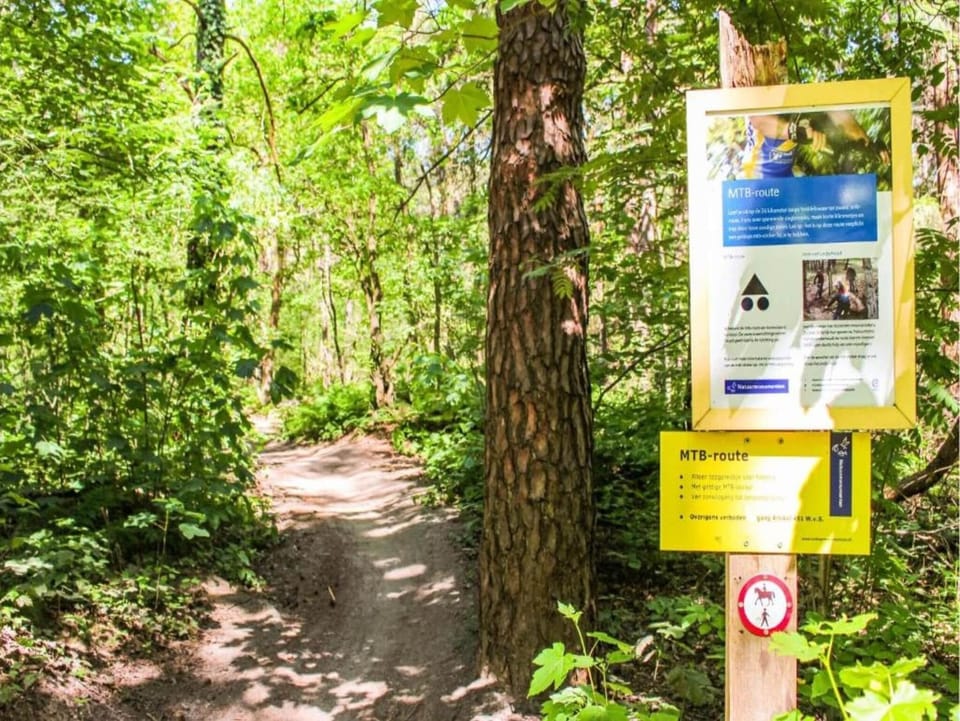 Region [summer] (>5 km)