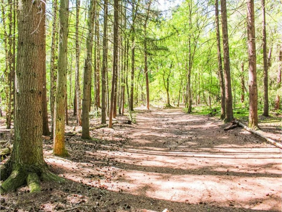 Region [summer] (>5 km)