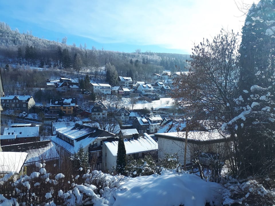 View from Holiday Home [winter]