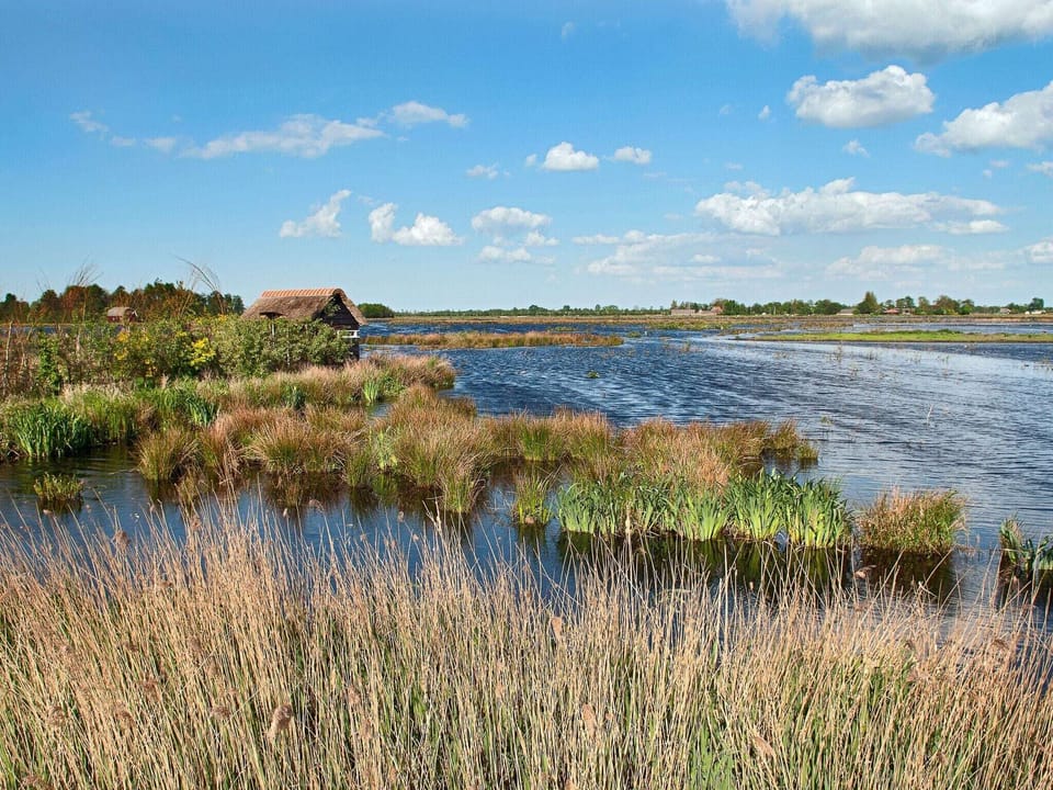 Surroundings [summer] (1-5 km)