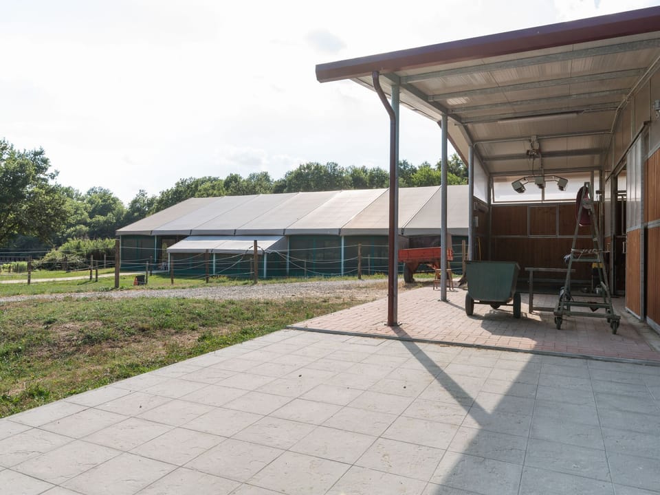 Holiday Park Facilities and Services 