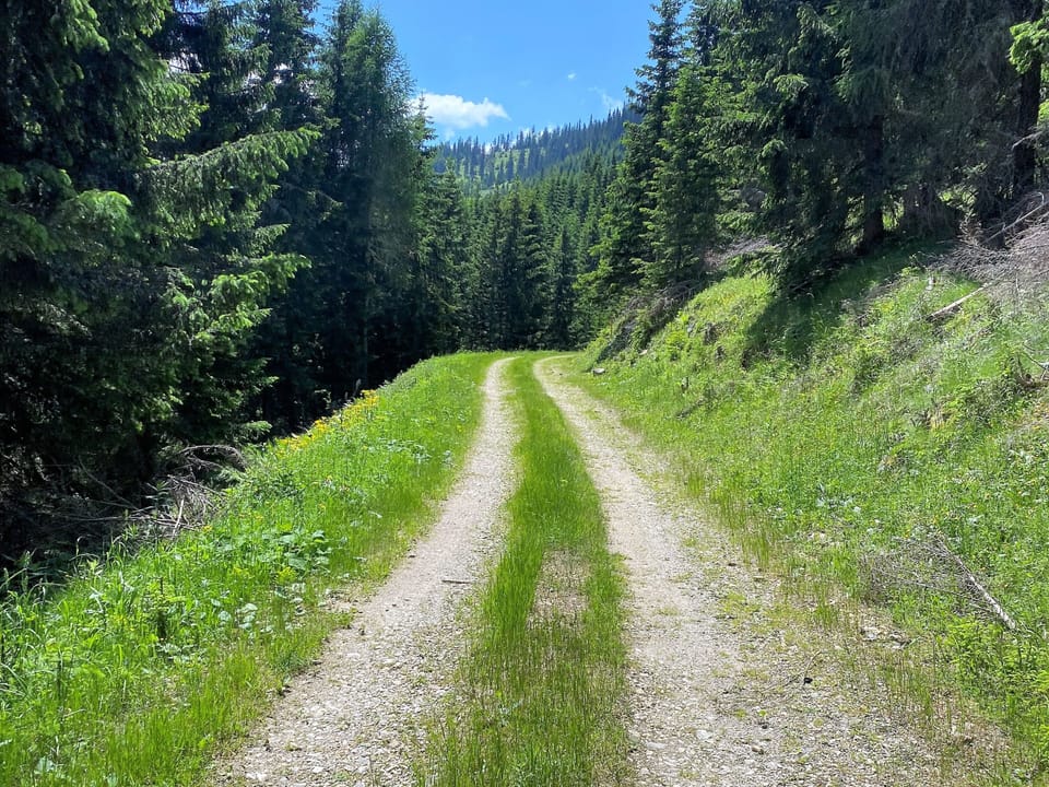 Surroundings [summer] (1-5 km)