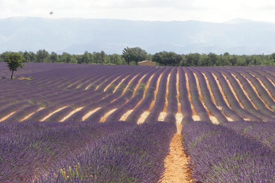 Region [summer] (>5 km)