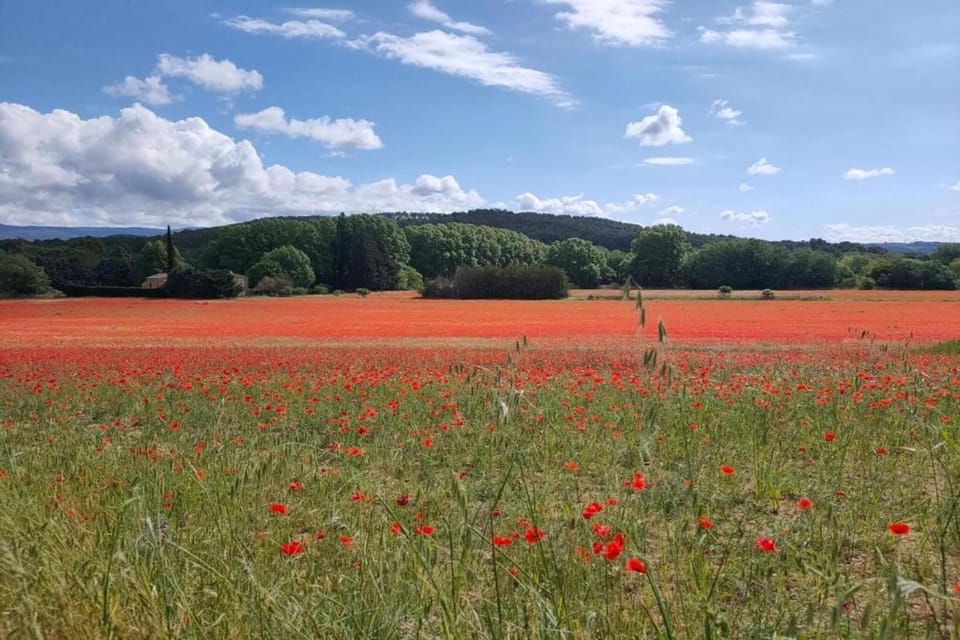 Region [summer] (>5 km)