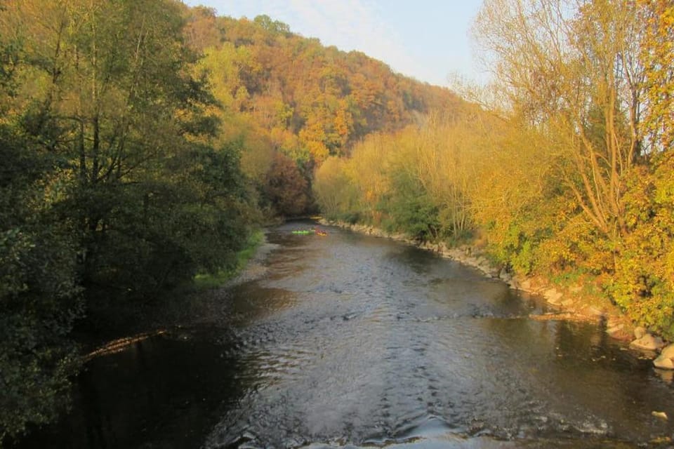 Region [summer] (>5 km)