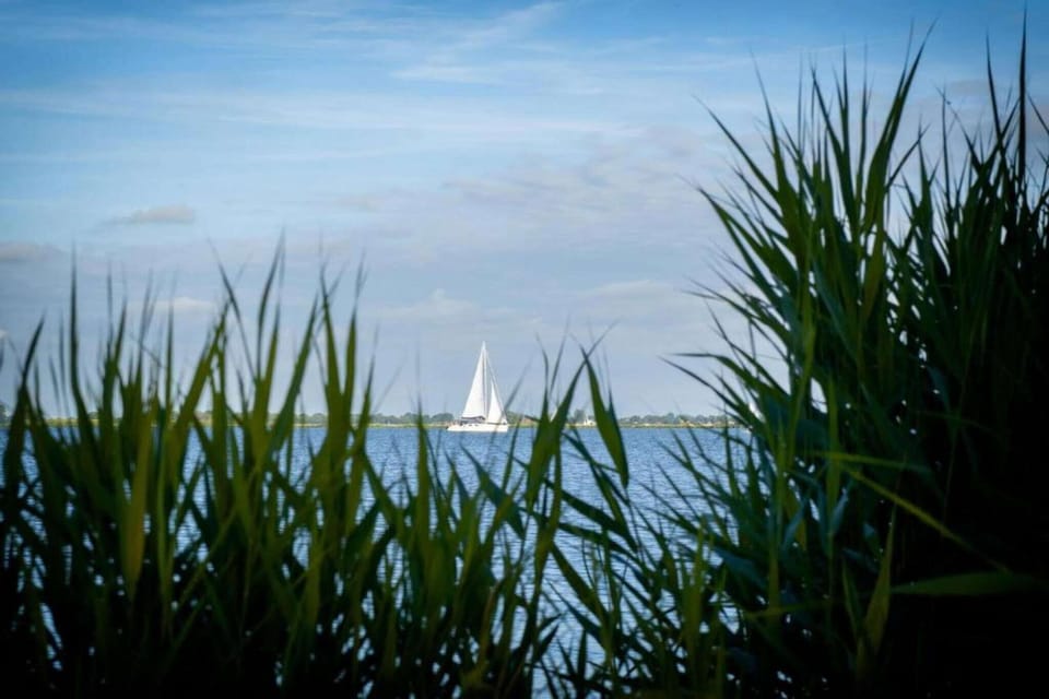 Surroundings [summer] (1-5 km)