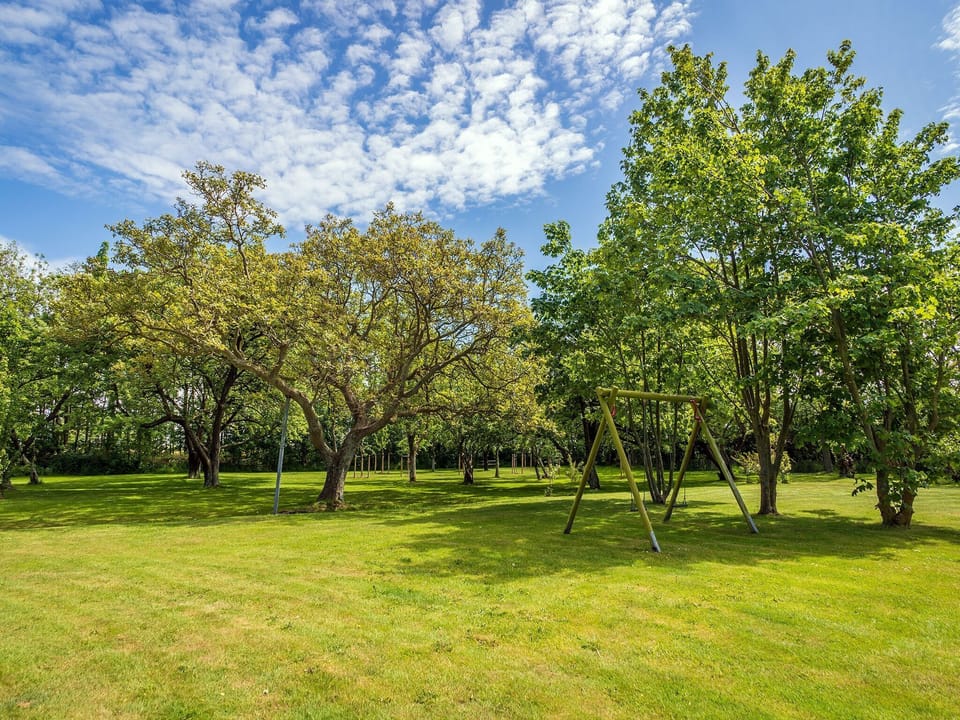 Garden [summer]