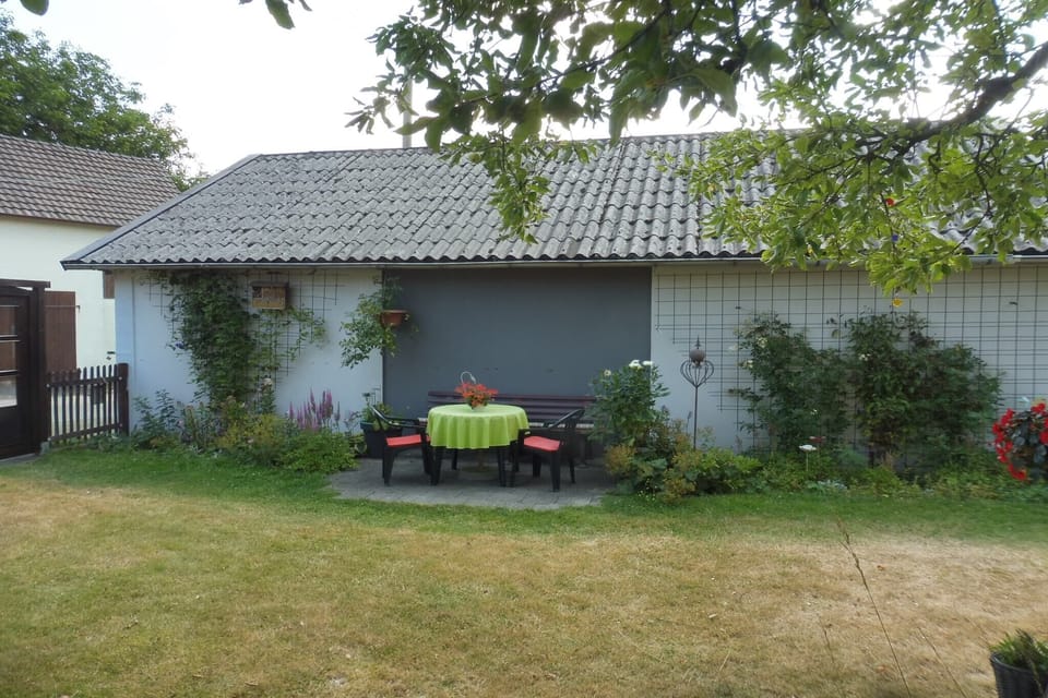 Garden [summer]