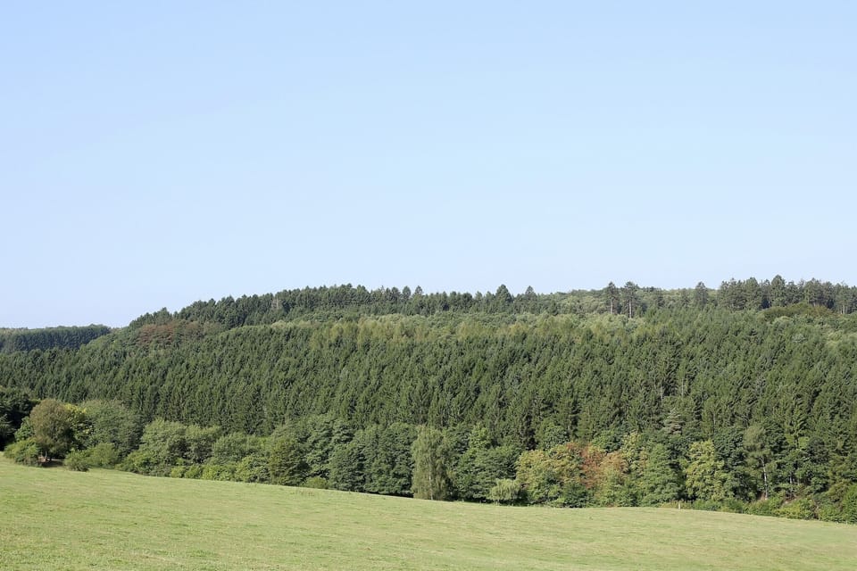 Immediate Surroundings [summer] (<1 km)