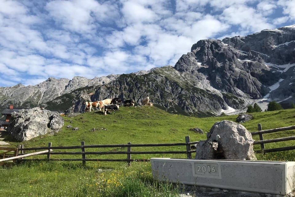 Surroundings [summer] (1-5 km)