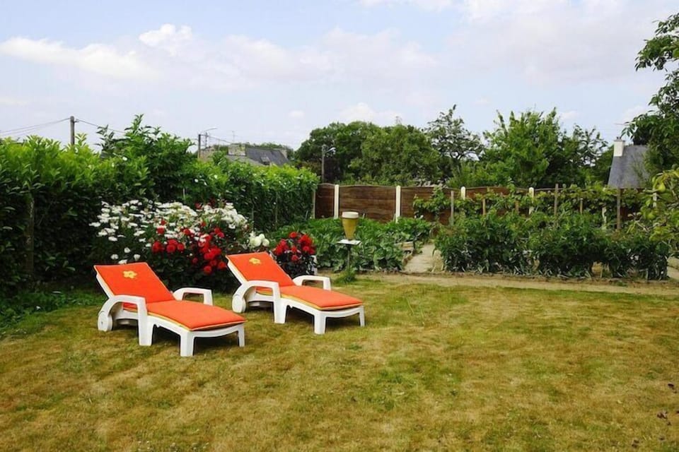 Garden [summer]