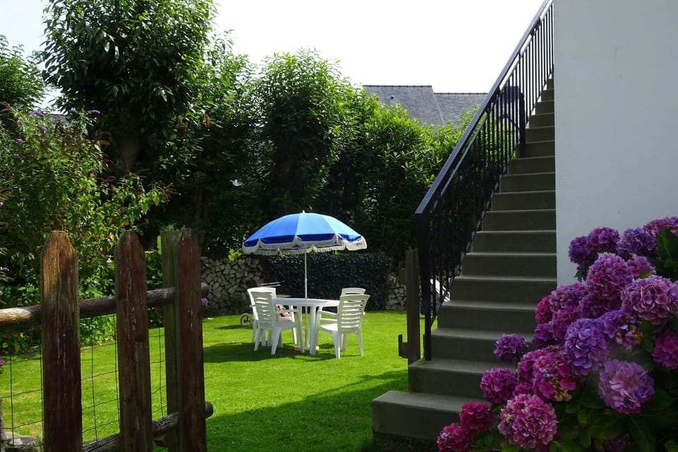 Garden [summer]