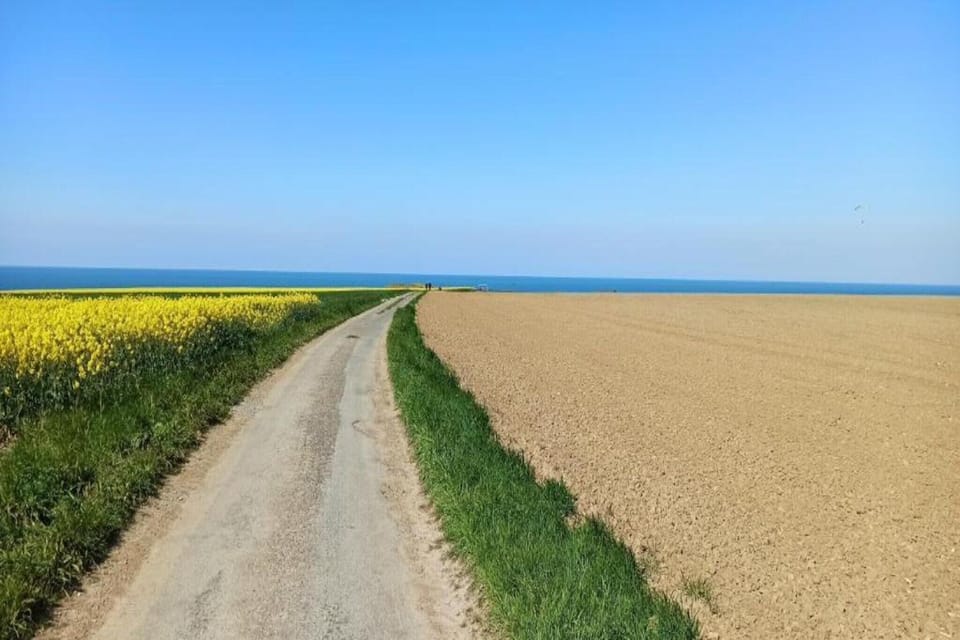 Region [summer] (>5 km)