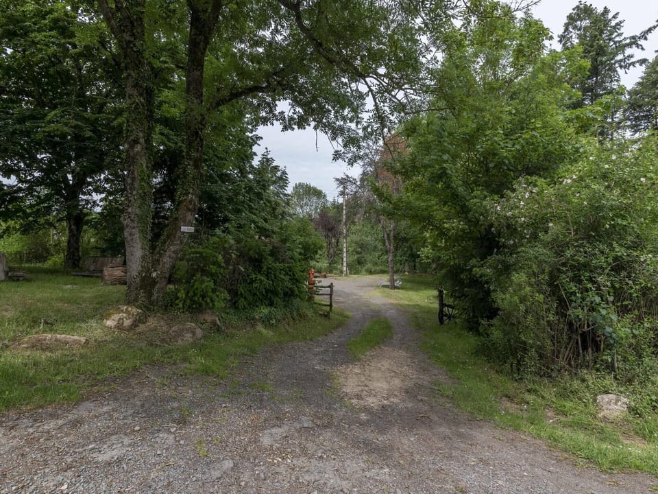 Immediate Surroundings [summer] (<1 km)