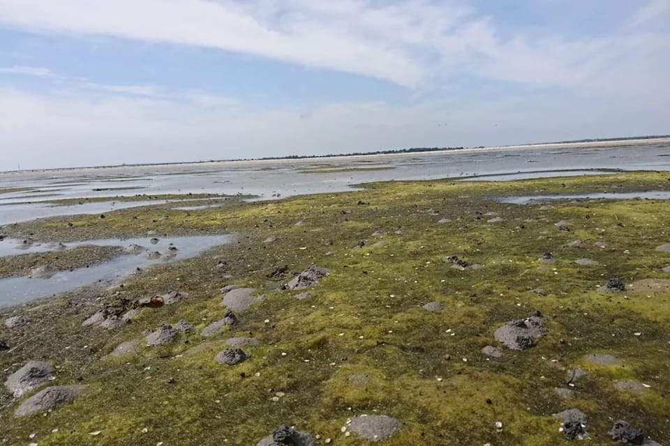 Water view