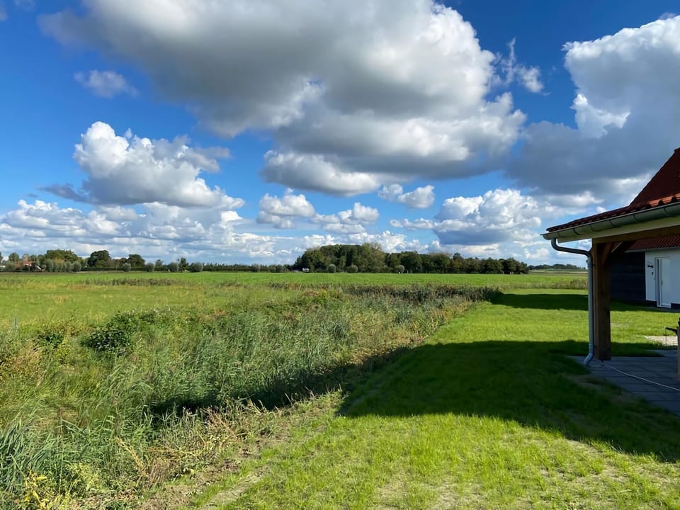 View from Holiday Home [summer]