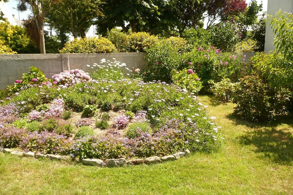 Garden [summer]