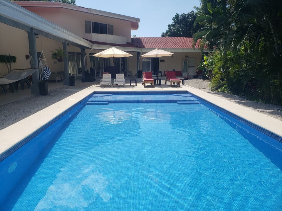 Large lap pool
