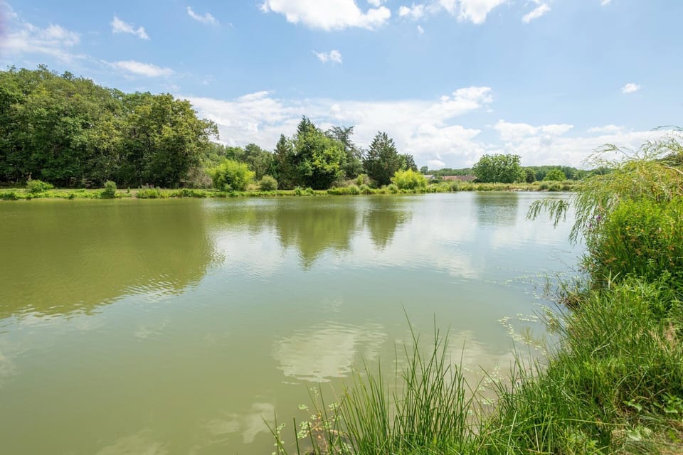 Surroundings [summer] (1-5 km)