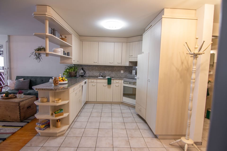 Nussbaumen Ferienwohnung Forstenegg Küche