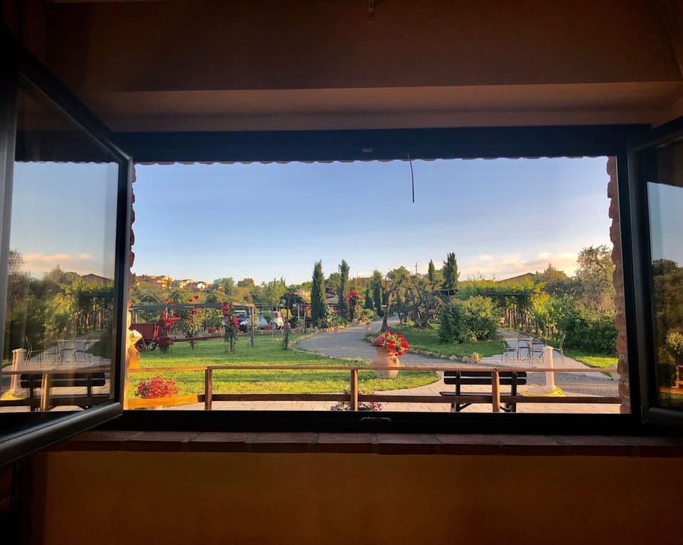 Scenic View