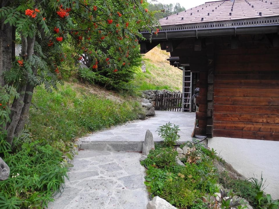 Picture 3