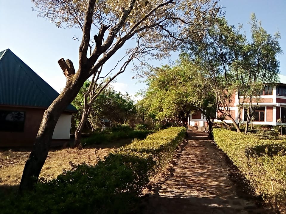 Property grounds