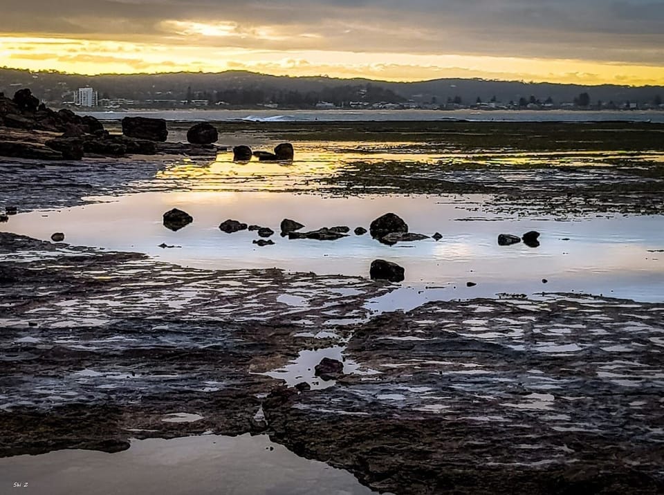 Long Reef Marine Reserve on full display at low tide