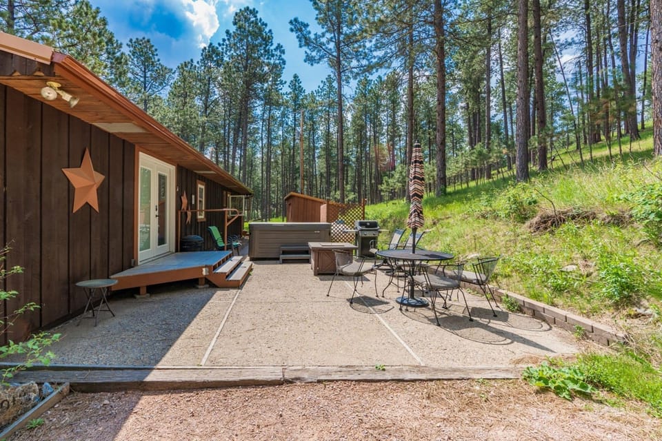 back yard