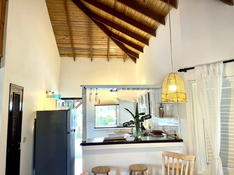 Looking through Kitchen to Back Patio