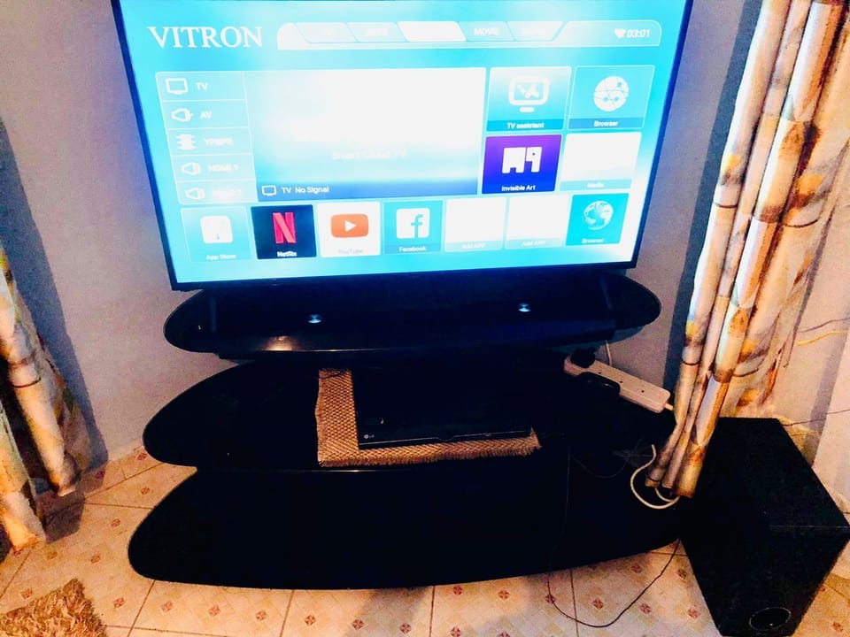 Television