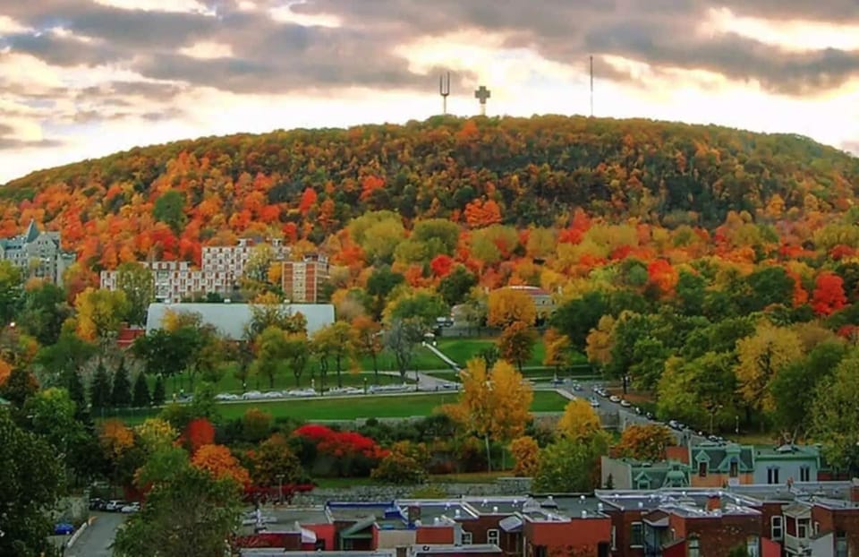Mount Royal 
Great for hiking, and skating at Beaver  Lake