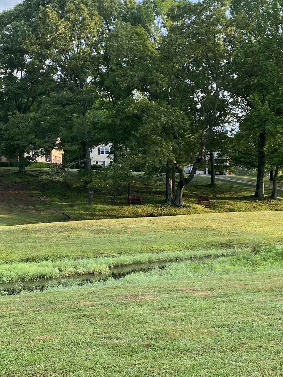 This is a view of the property from the county roadway. 