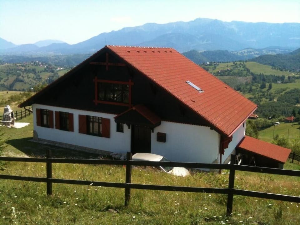 Back view