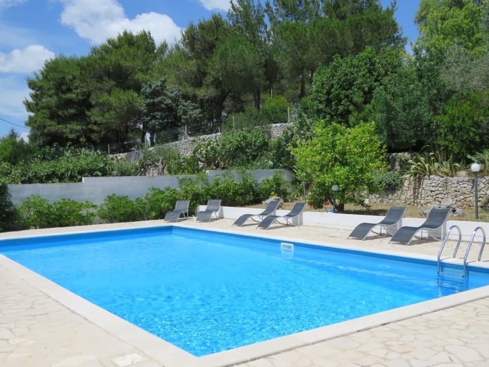 Large pools surrounded by fruit and olive trees. 