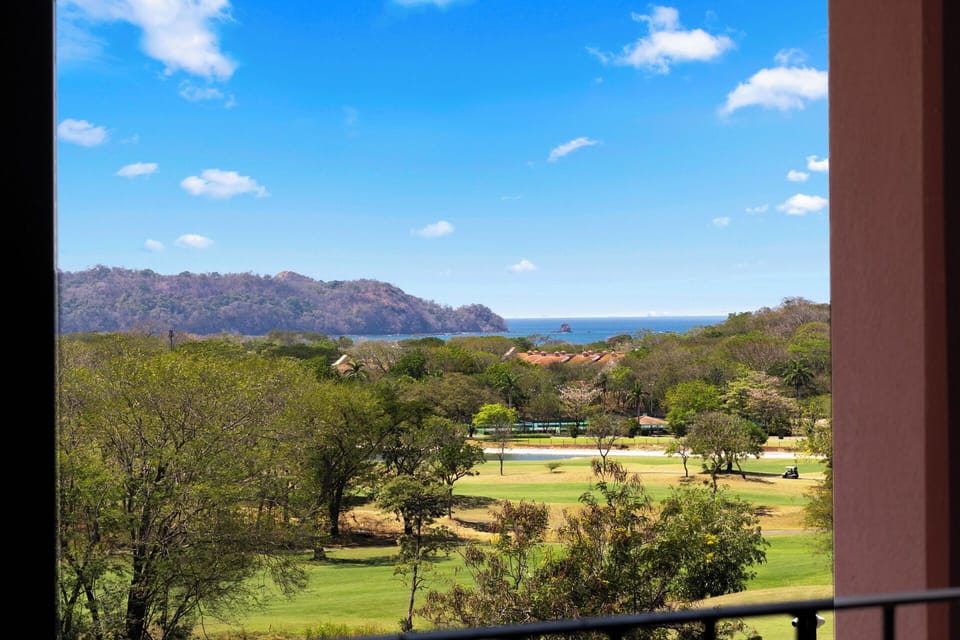 Unparalleled views. 
