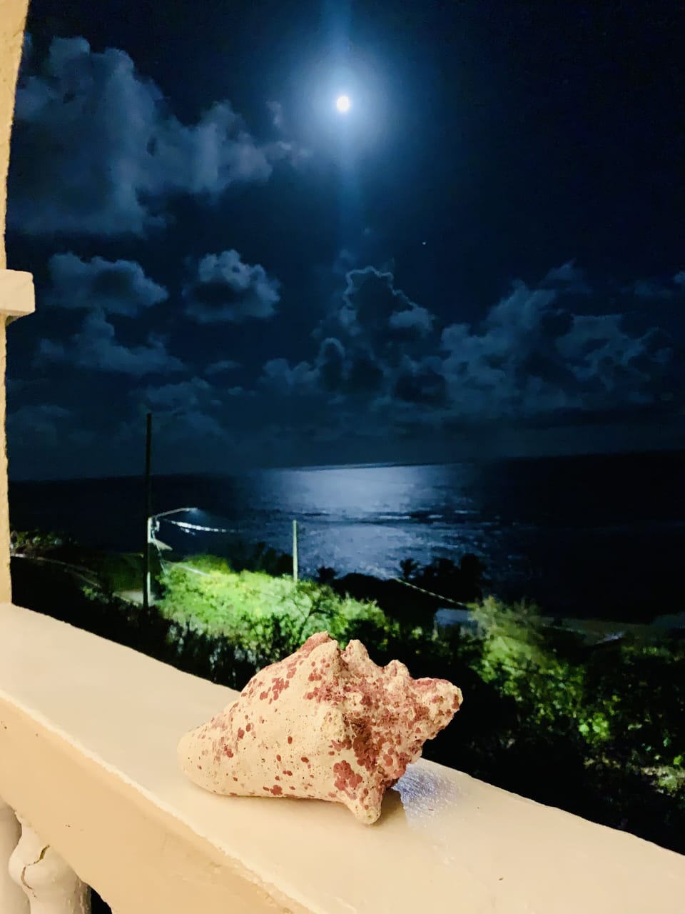 Full Moon from the Balcony