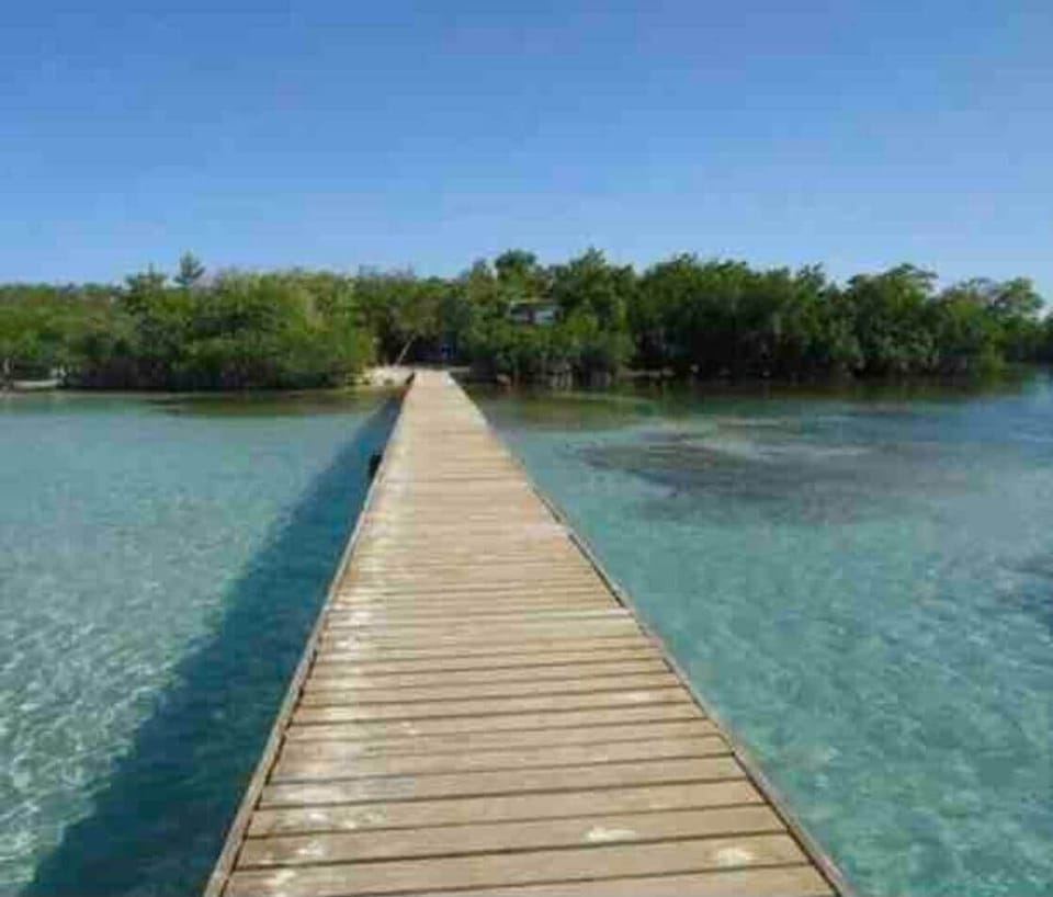 Experience Mata La Gata Key. You can rent a boat, kayak, SCUBA or use local tour available at EL Poblado de La Parguera.