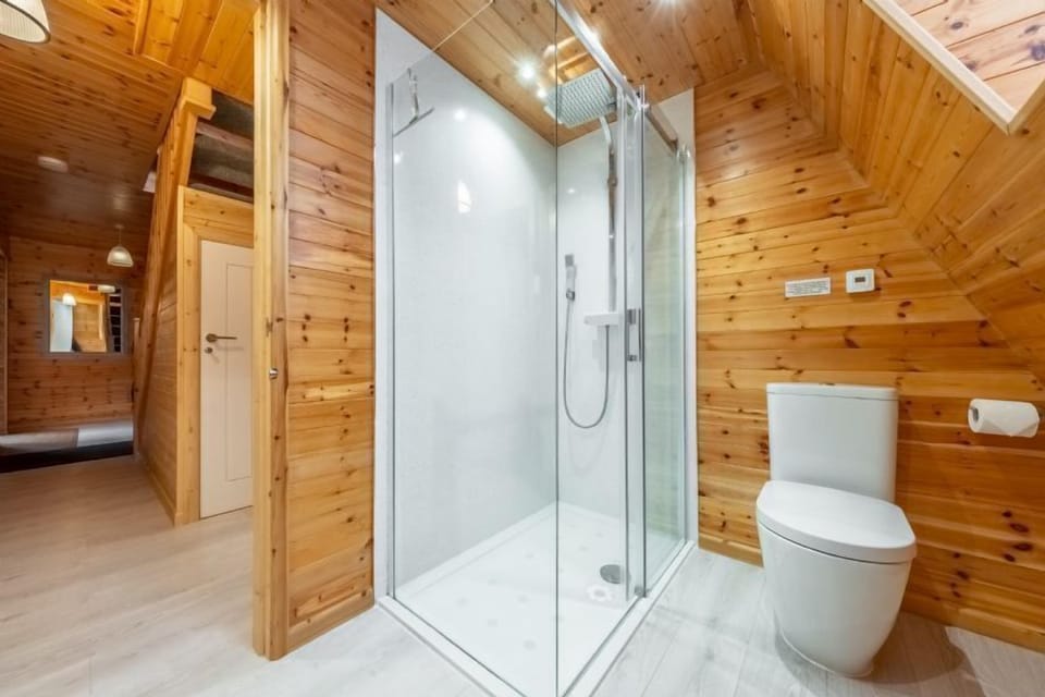 Ground floor: Shower room with washbasin, WC and heated towel rail