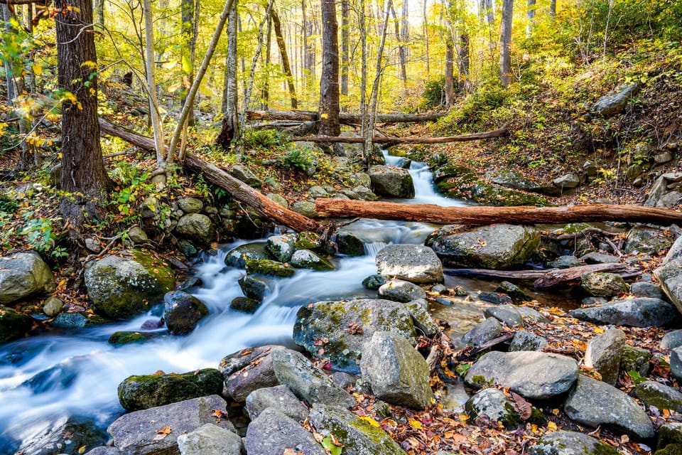 Enjoy the great outdoors in the Shenandoah.