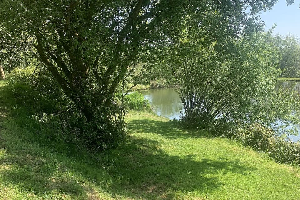 A shady spot by one of our five lakes