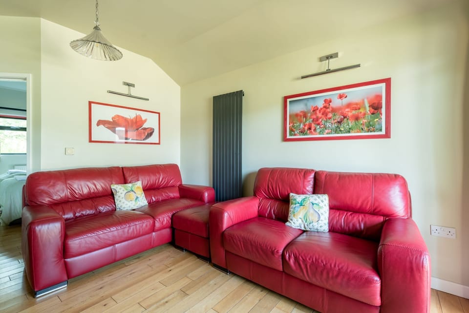 Red Italian leather seating
