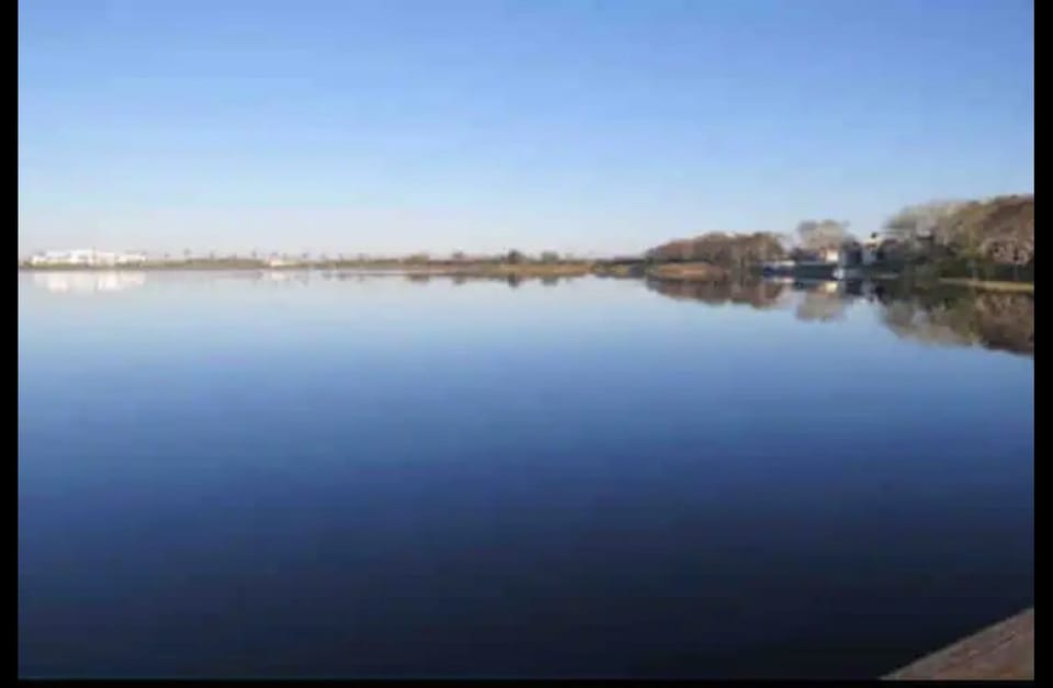 Where tidiness, Peace and you meet to create unforgettable memories. House in Haines City