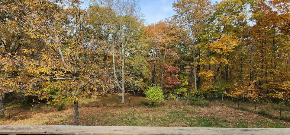 View of backyard from deck