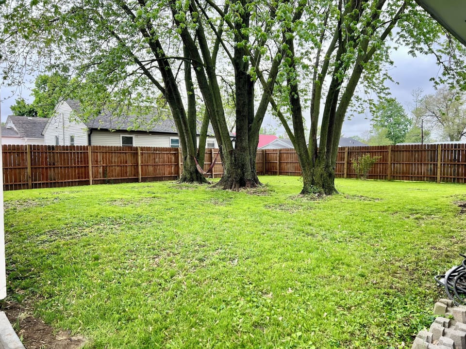 Backyard